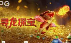 赏金国际vip登录入口电脑免费版