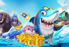 赏金国际vip登录入口最新版