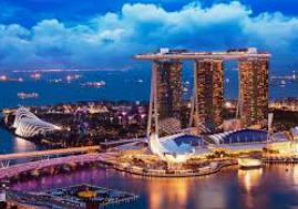 赏金国际vip登录入口